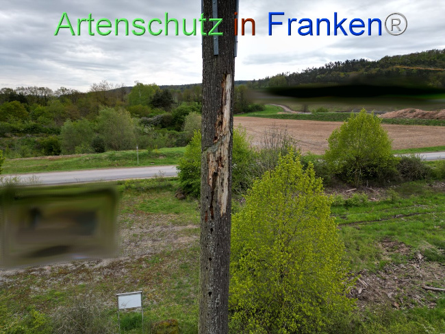 Bild zum Eintrag (1104087-160)