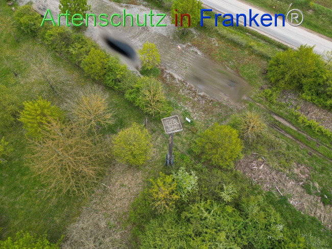 Bild zum Eintrag (1104093-160)