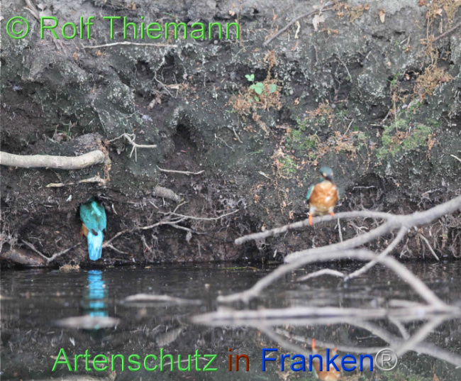 Bild zum Eintrag (1104127-160)
