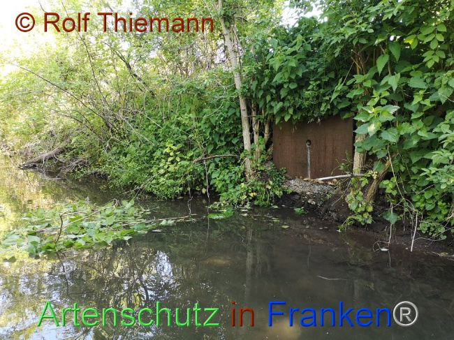 Bild zum Eintrag (1104136-160)
