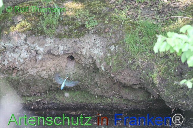 Bild zum Eintrag (1104137-160)