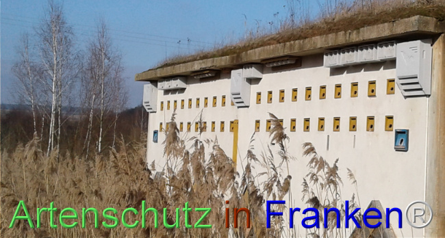 © Artenschutz in Franken® Bild zum Eintrag (1104170-160)