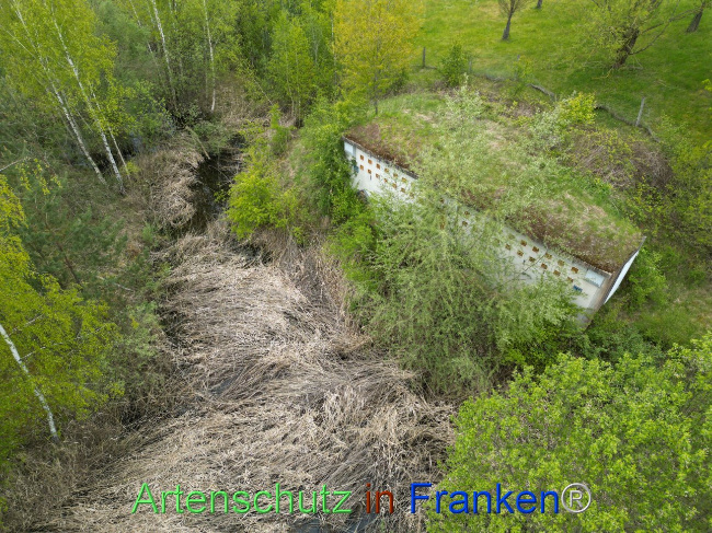 © Artenschutz in Franken® Bild zum Eintrag (1104175-160)