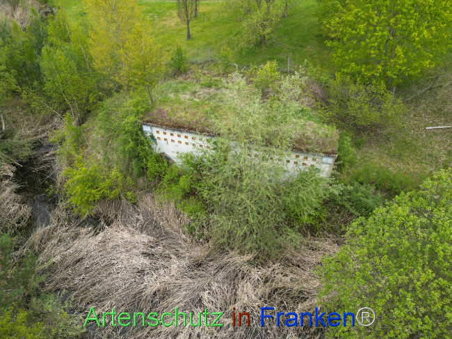 © Artenschutz in Franken® Bild zum Eintrag (1104176-160)