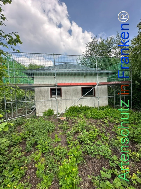 Bild zum Eintrag (1104395-160)