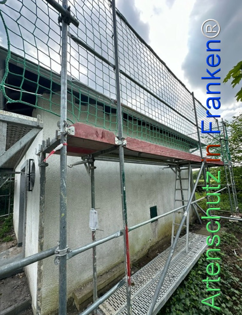 Bild zum Eintrag (1104396-160)