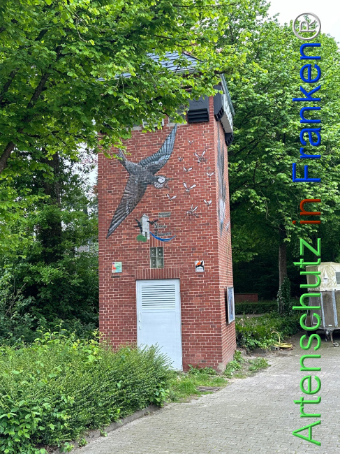 © Artenschutz in Franken® Bild zum Eintrag (1104421-160)