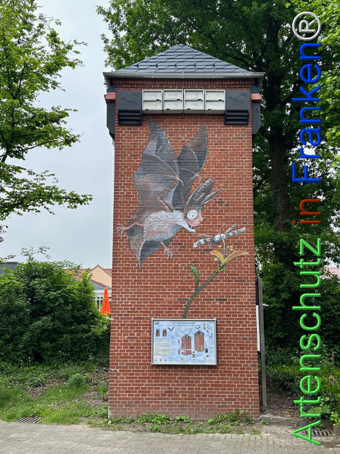 © Artenschutz in Franken® Bild zum Eintrag (1104426-160)