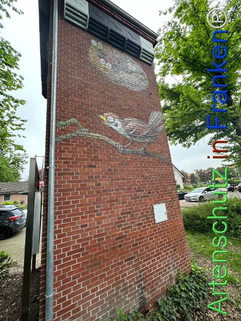 © Artenschutz in Franken® Bild zum Eintrag (1104427-160)