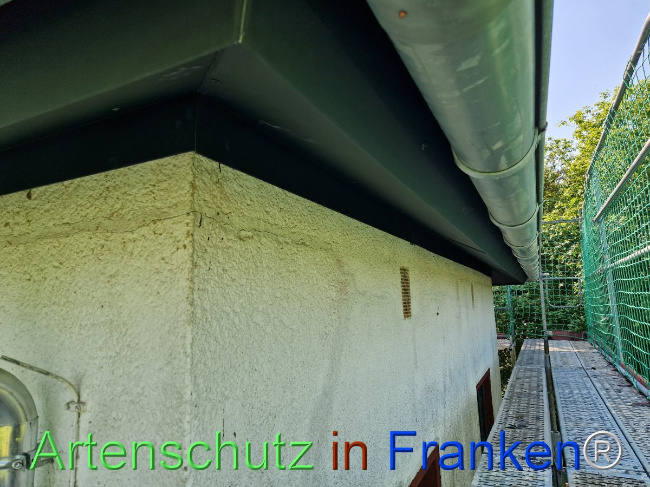 © Artenschutz in Franken® Bild zum Eintrag (1104576-160)
