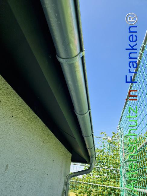 © Artenschutz in Franken® Bild zum Eintrag (1104580-160)
