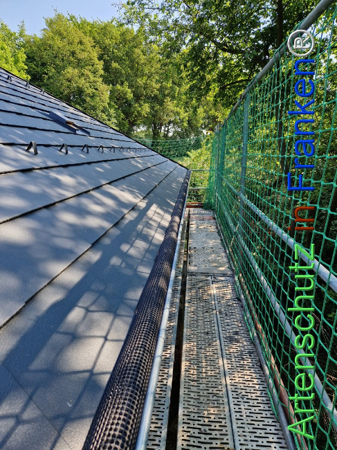 © Artenschutz in Franken® Bild zum Eintrag (1104584-160)