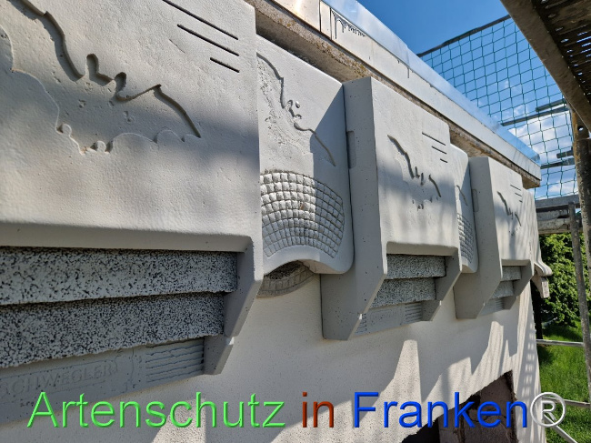© Artenschutz in Franken® Bild zum Eintrag (1104596-160)