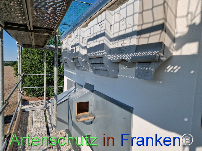 Bild zum Eintrag (1104609-160)