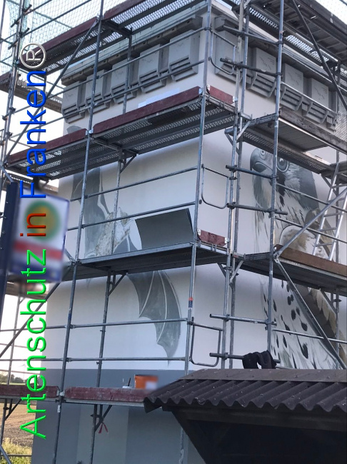 © Artenschutz in Franken® Bild zum Eintrag (1104621-160)