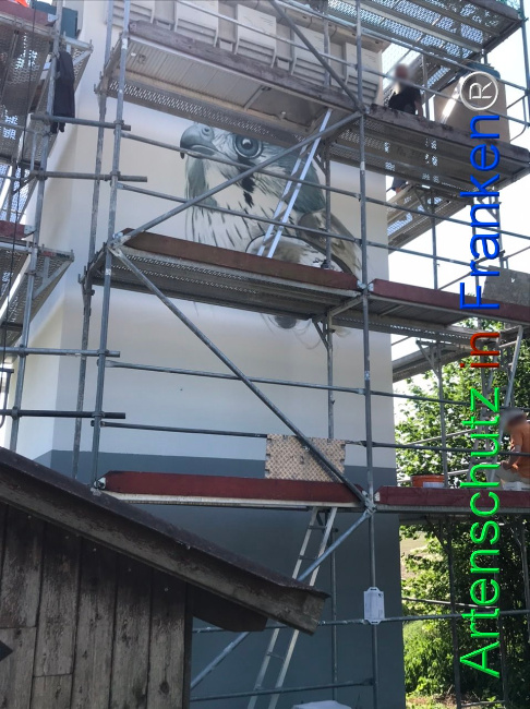 © Artenschutz in Franken® Bild zum Eintrag (1104623-160)