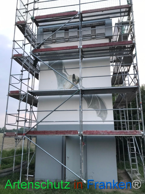 © Artenschutz in Franken® Bild zum Eintrag (1104650-160)