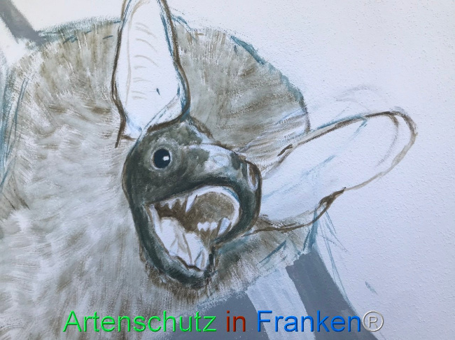 © Artenschutz in Franken® Bild zum Eintrag (1104654-160)