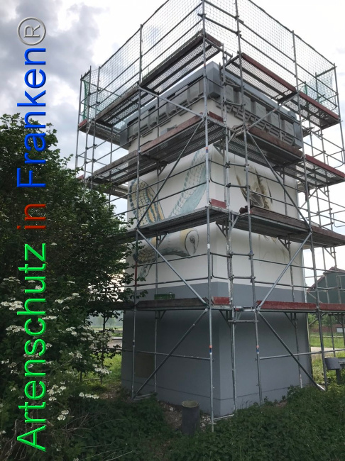 © Artenschutz in Franken® Bild zum Eintrag (1104709-160)