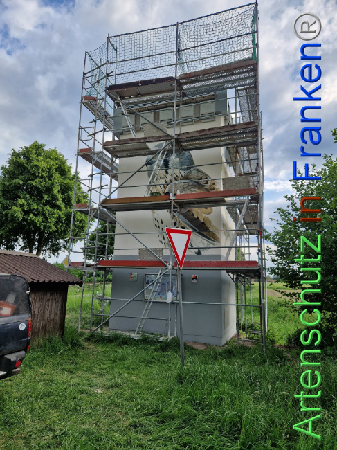 © Artenschutz in Franken® Bild zum Eintrag (1104720-160)