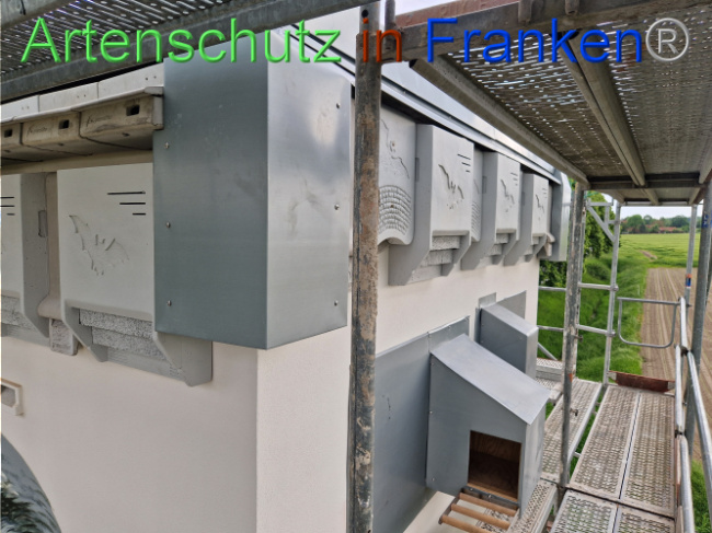 © Artenschutz in Franken® Bild zum Eintrag (1104728-160)