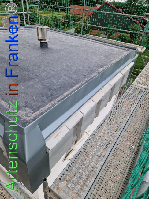© Artenschutz in Franken® Bild zum Eintrag (1104730-160)