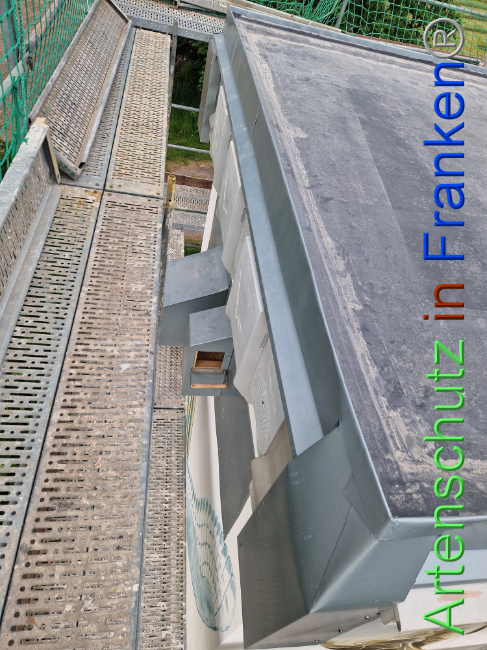 © Artenschutz in Franken® Bild zum Eintrag (1104732-160)