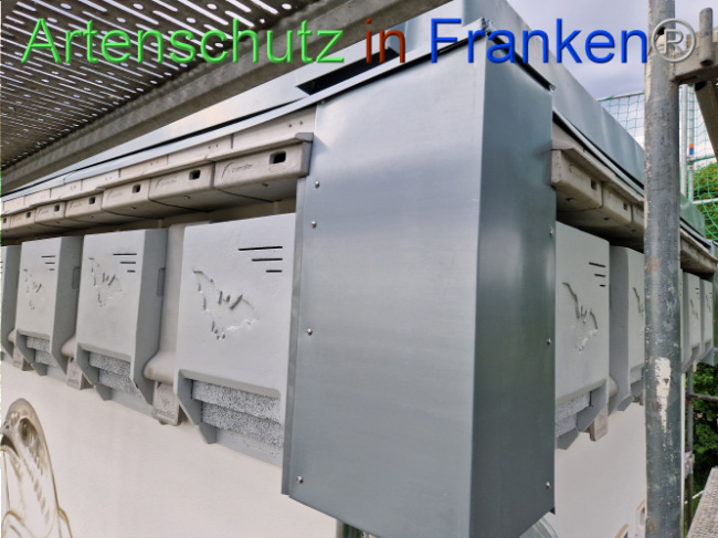 © Artenschutz in Franken® Bild zum Eintrag (1104737-160)