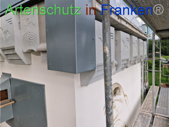 © Artenschutz in Franken® Bild zum Eintrag (1104738-160)