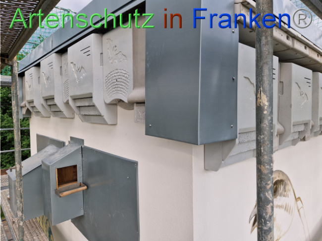 © Artenschutz in Franken® Bild zum Eintrag (1104739-160)