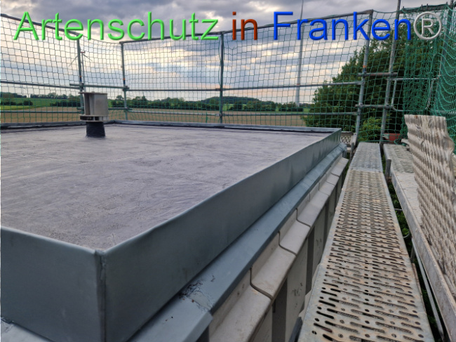 Bild zum Eintrag (1104741-160)