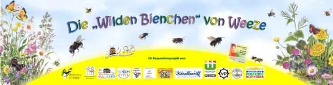 Bild zum Eintrag (1104802-160)