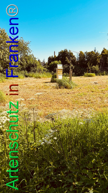 © Artenschutz in Franken® / Francken Bild zum Eintrag (1104807-160)