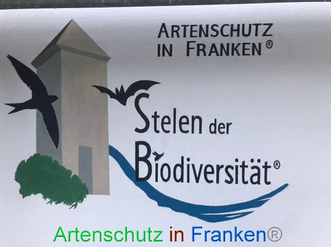 © Artenschutz in Franken® Bild zum Eintrag (1104845-160)