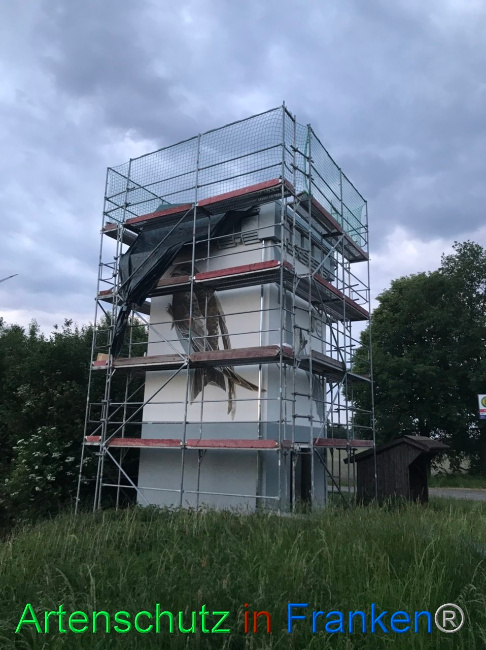 © Artenschutz in Franken® Bild zum Eintrag (1104846-160)