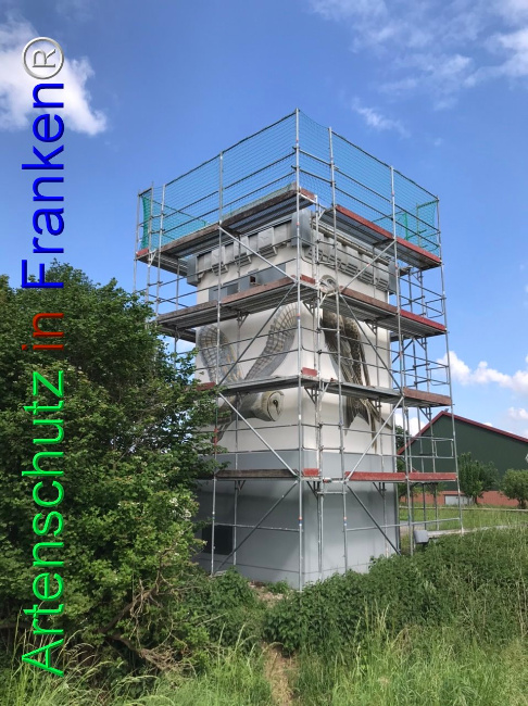 © Artenschutz in Franken® Bild zum Eintrag (1105035-160)