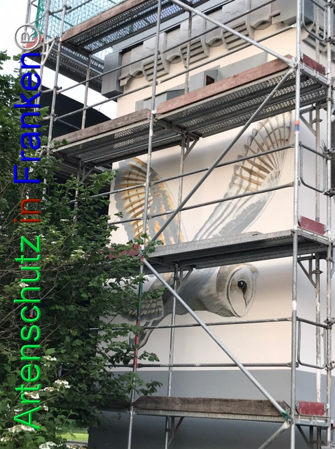 © Artenschutz in Franken® Bild zum Eintrag (1105036-160)