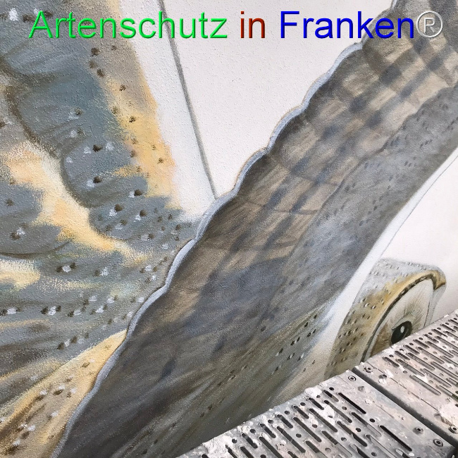 Bild zum Eintrag (1105039-160)