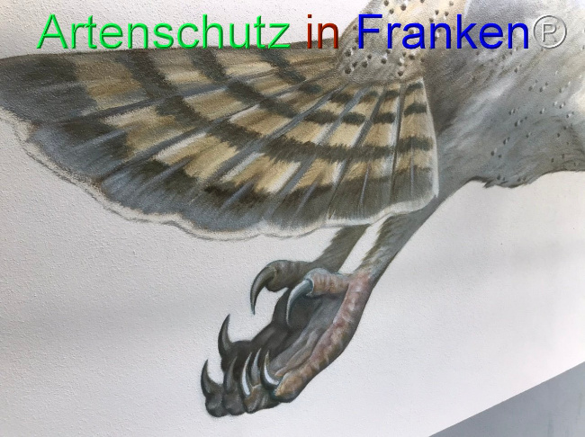Bild zum Eintrag (1105040-160)