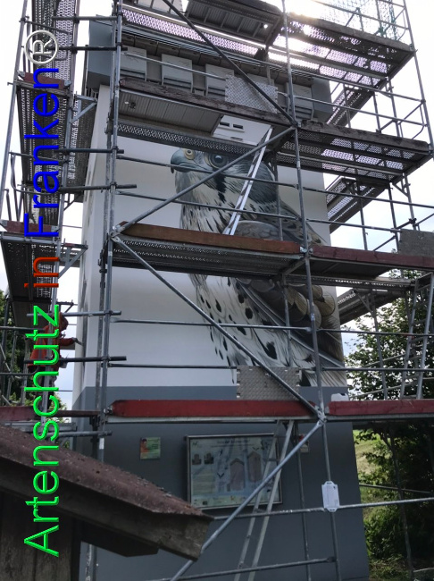 © Artenschutz in Franken® Bild zum Eintrag (1105043-160)