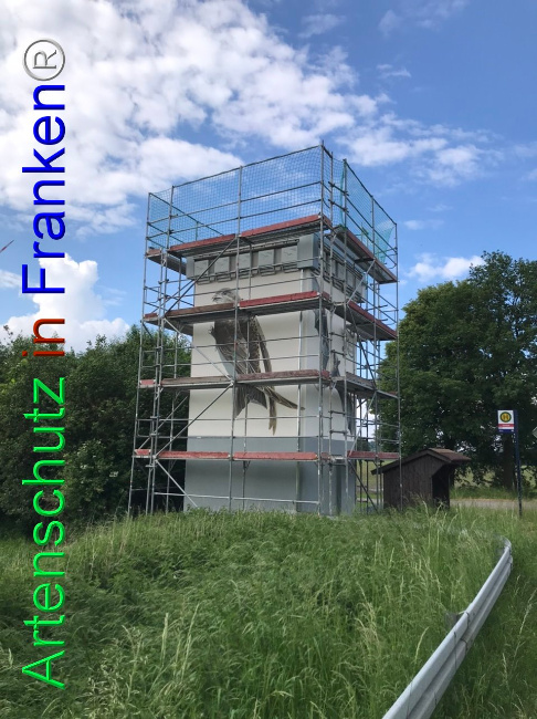 © Artenschutz in Franken® Bild zum Eintrag (1105044-160)