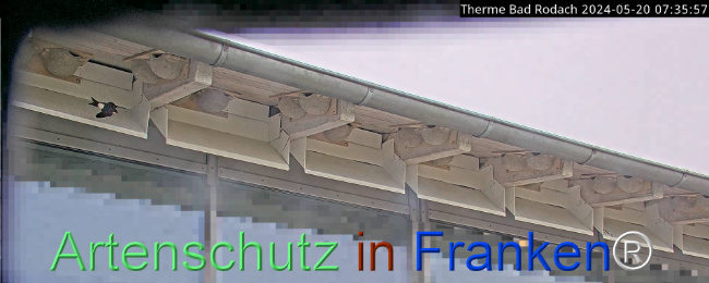 © Artenschutz in Franken® Bild zum Eintrag (1105150-160)