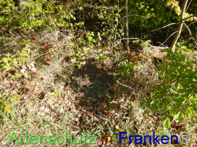 Bild zum Eintrag (1105160-160)