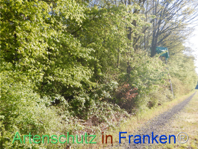 Bild zum Eintrag (1105205-160)