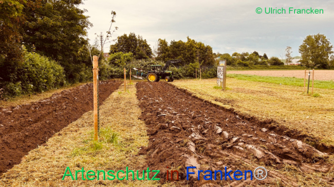 Bild zum Eintrag (1105787-160)
