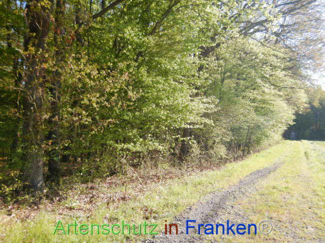 Bild zum Eintrag (1105979-160)
