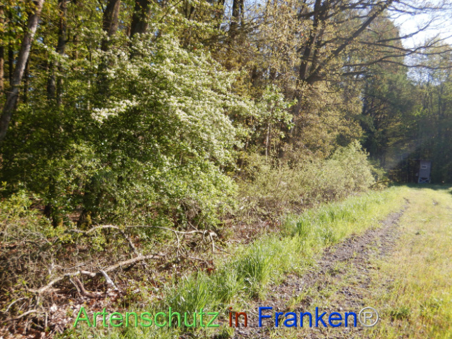 Bild zum Eintrag (1105992-160)
