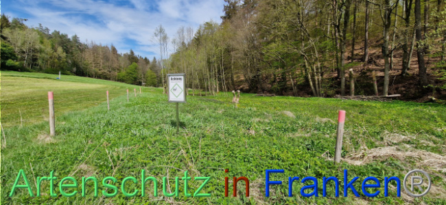 © Artenschutz in Franken® Bild zum Eintrag (1106118-160)
