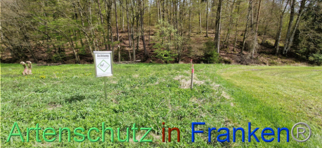 © Artenschutz in Franken® Bild zum Eintrag (1106122-160)