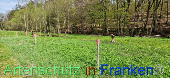 Bild zum Eintrag (1106126-160)